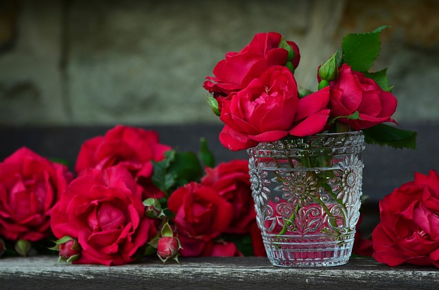 Bouquet or houseplants? Bouquet or houseplants?